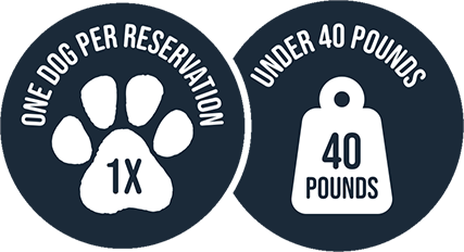 One dog per reservation. Under 40 pounds.