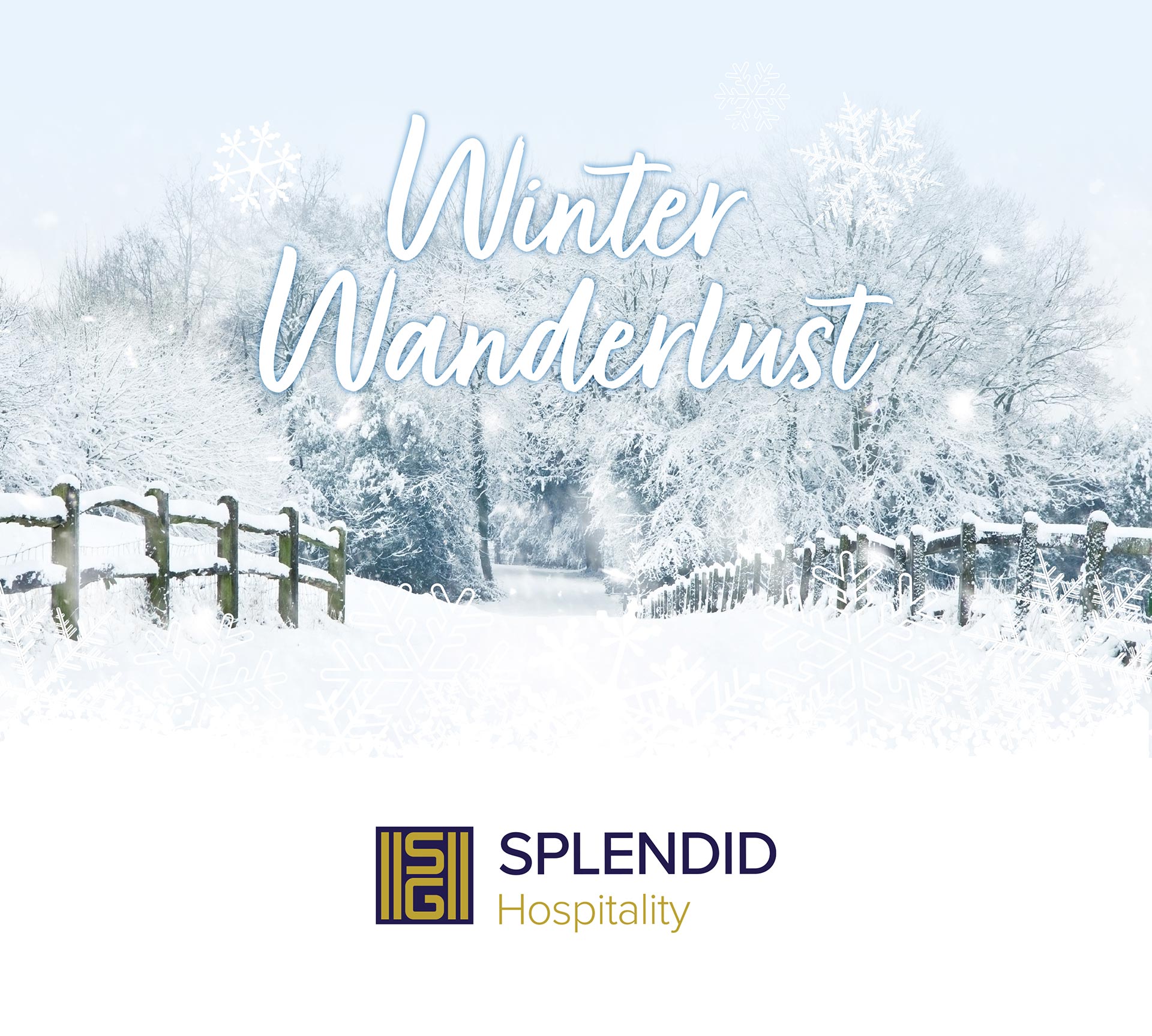 Winter Wanderlust - Splendid Hospitality